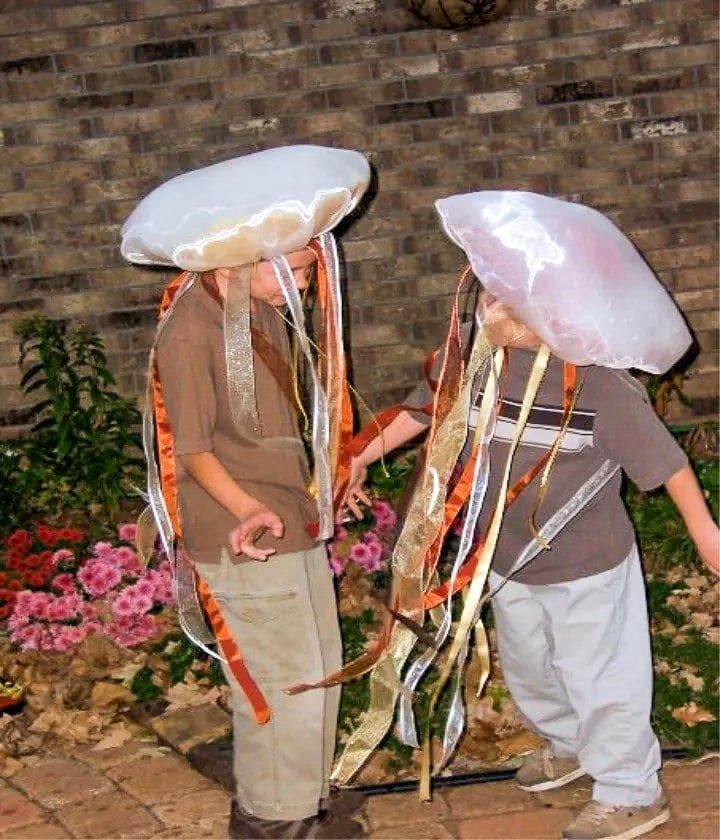 Stunning Homemade Jellyfish Costume  Jellyfish costume, Family themed  halloween costumes, Jellyfish costume diy