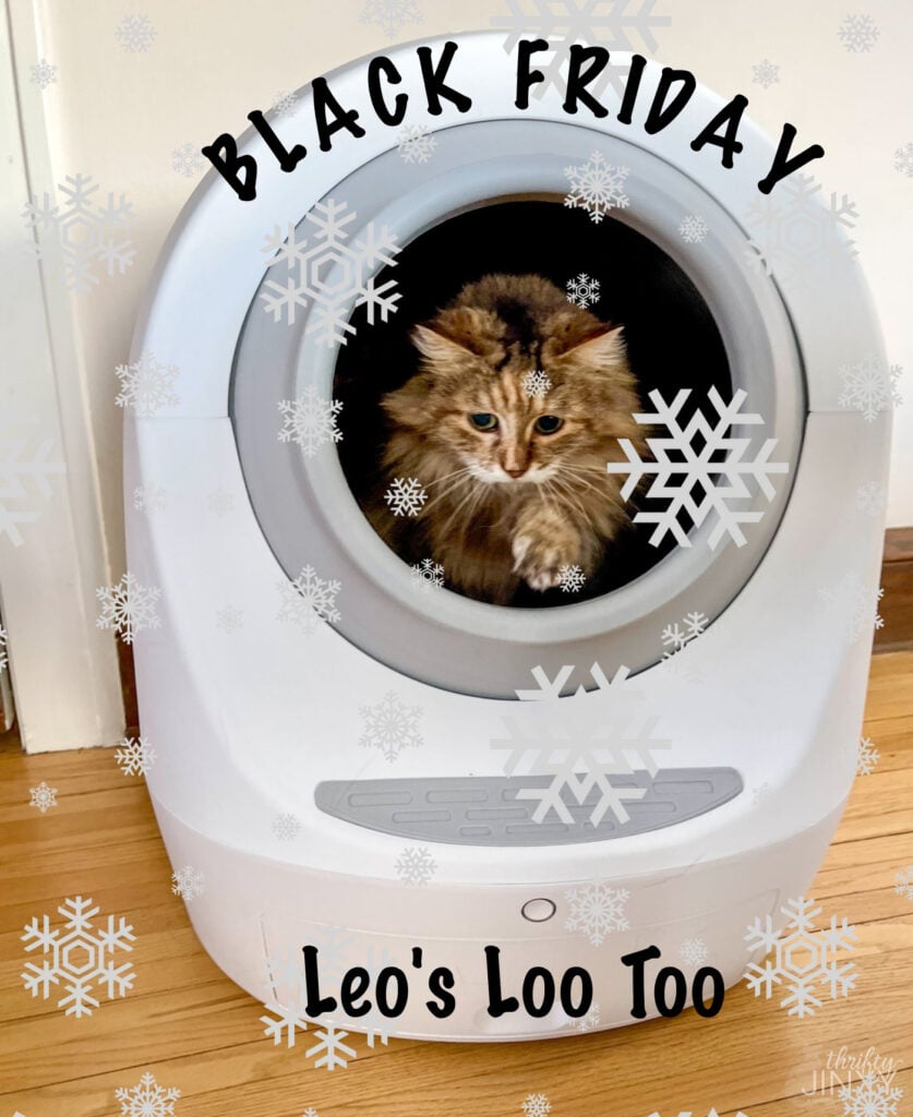 black friday litter box