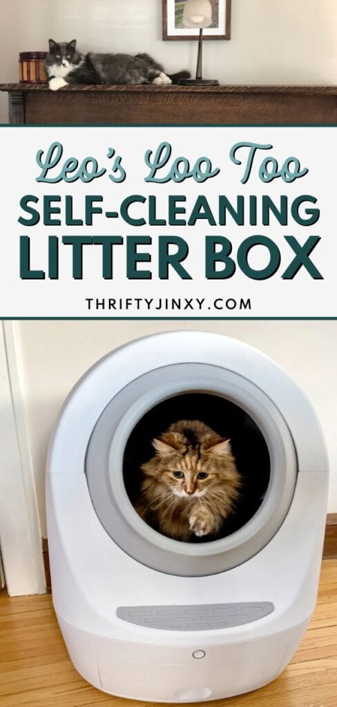 leo's loo litter box reviews