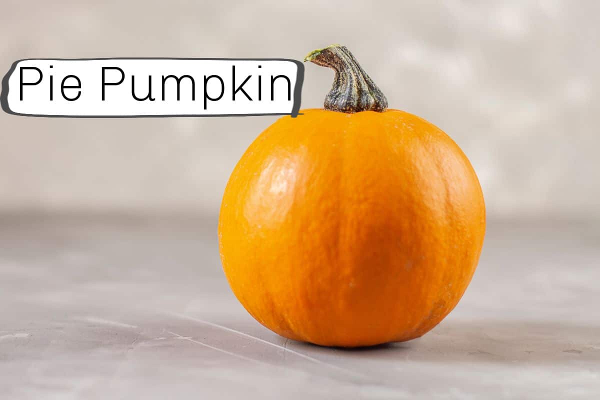 round pie pumpkin.