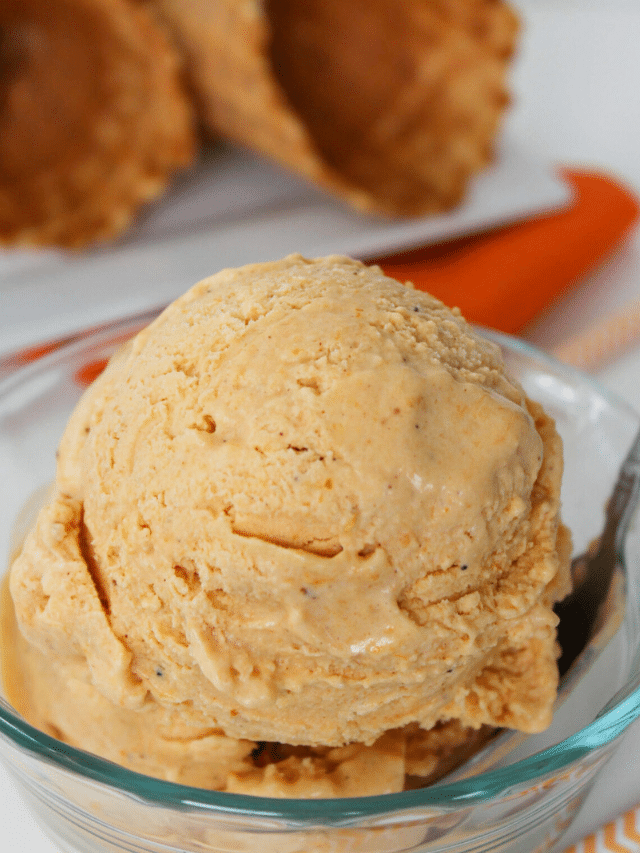 5 Ingredient Pumpkin Pie Ice Cream Recipe - Thrifty Jinxy