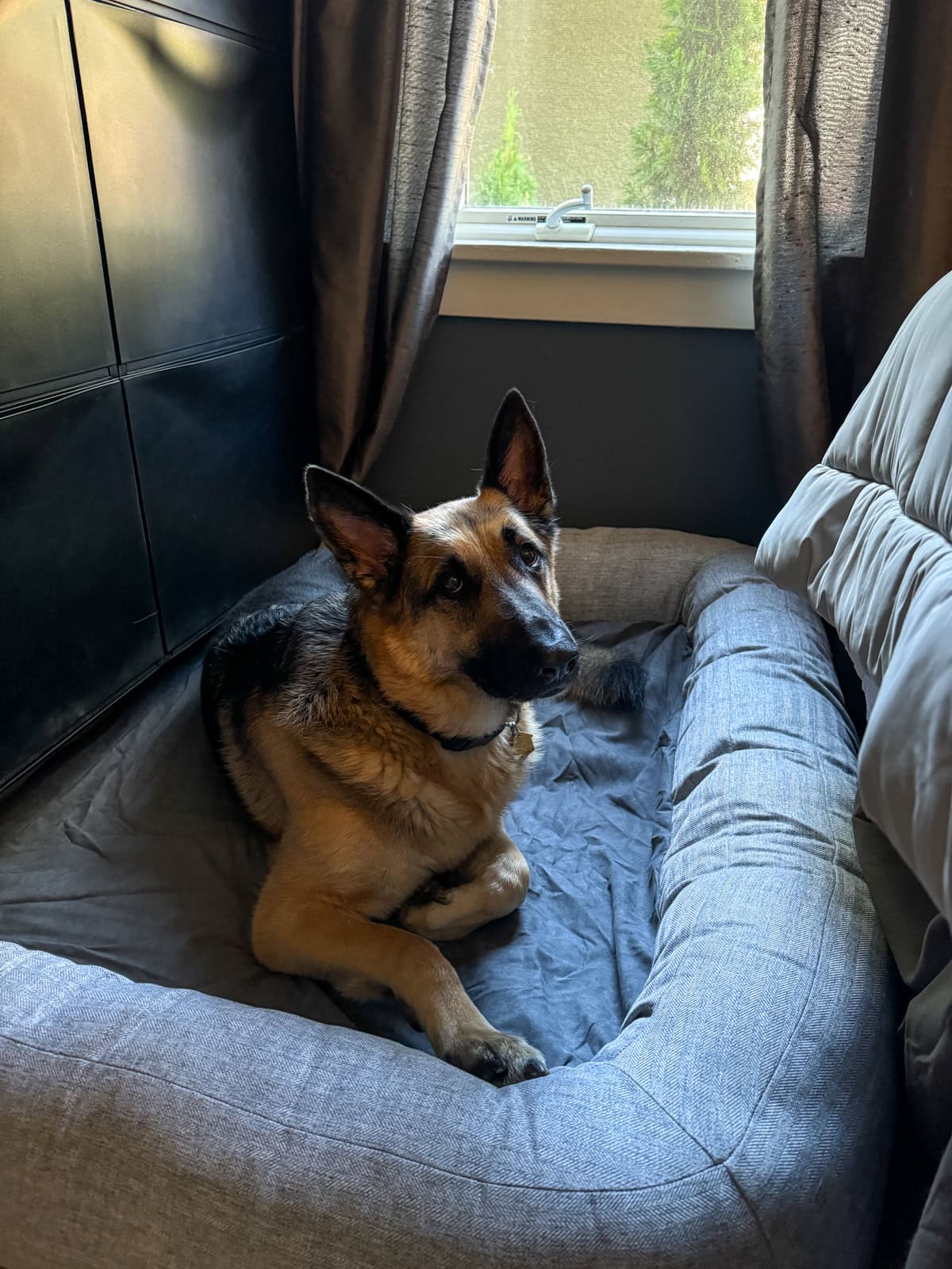 PLAY California Dreaming Memory Foam Bed.