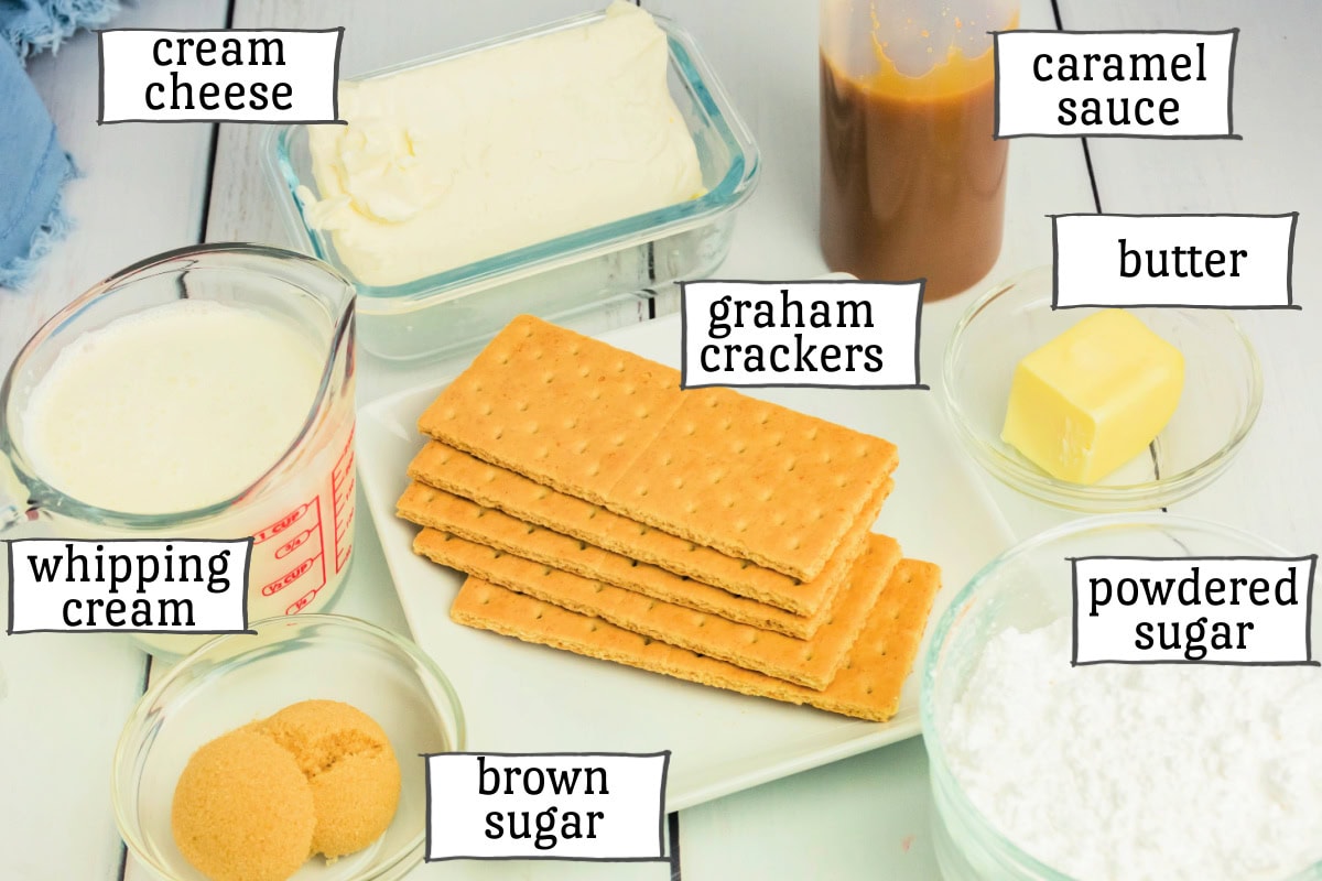 Mini No Bake Cheesecake Ingredients including cream cheese, graham crackers, powdered sugar, etc.