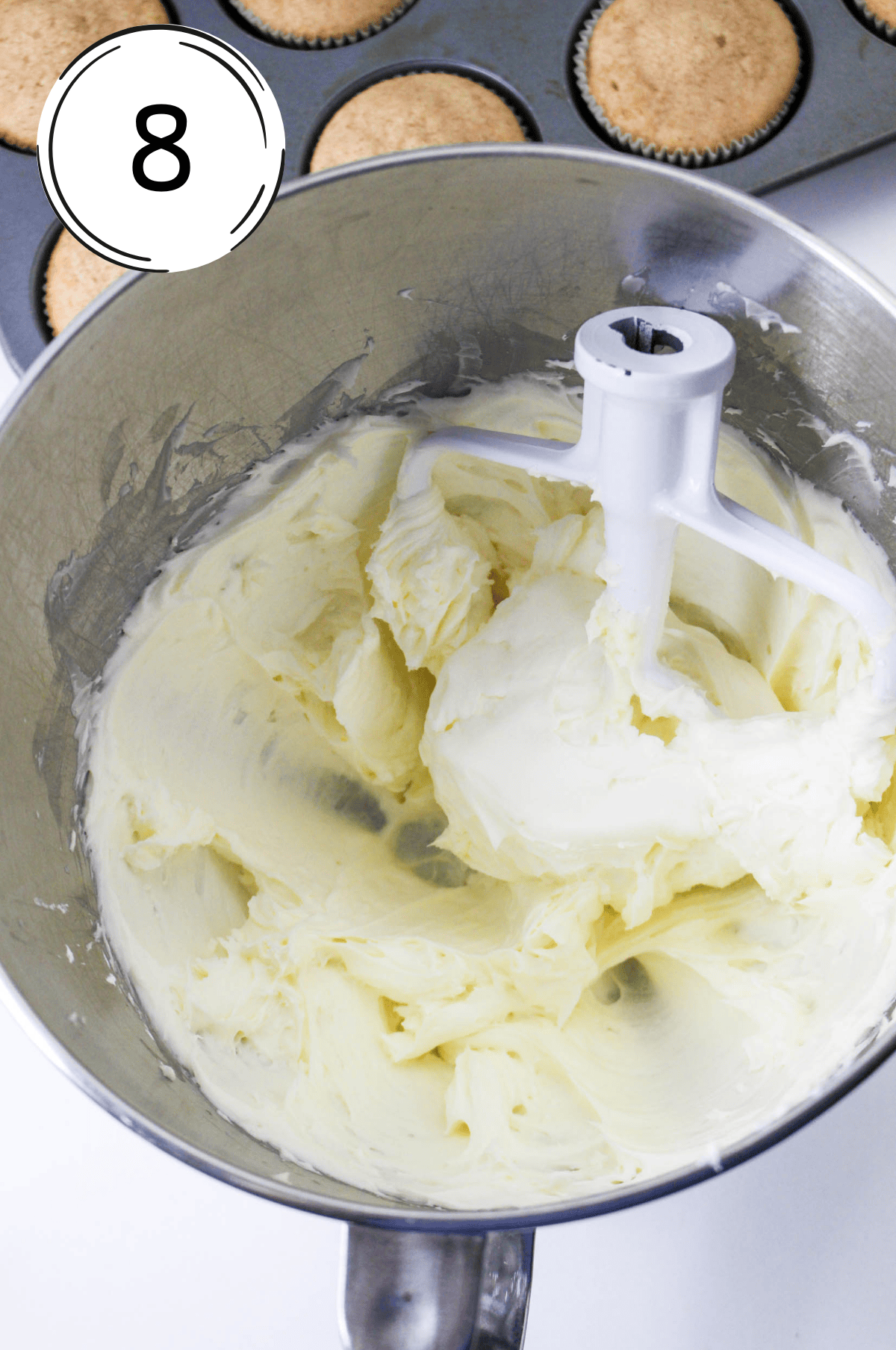 Preparation photo for Step 8