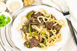 Beef Udon Noodles on plate with green onion garnish.